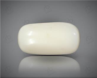 Natural White Coral ( Safed Mooga) Certified 10.20 CTS. ( 91528 )